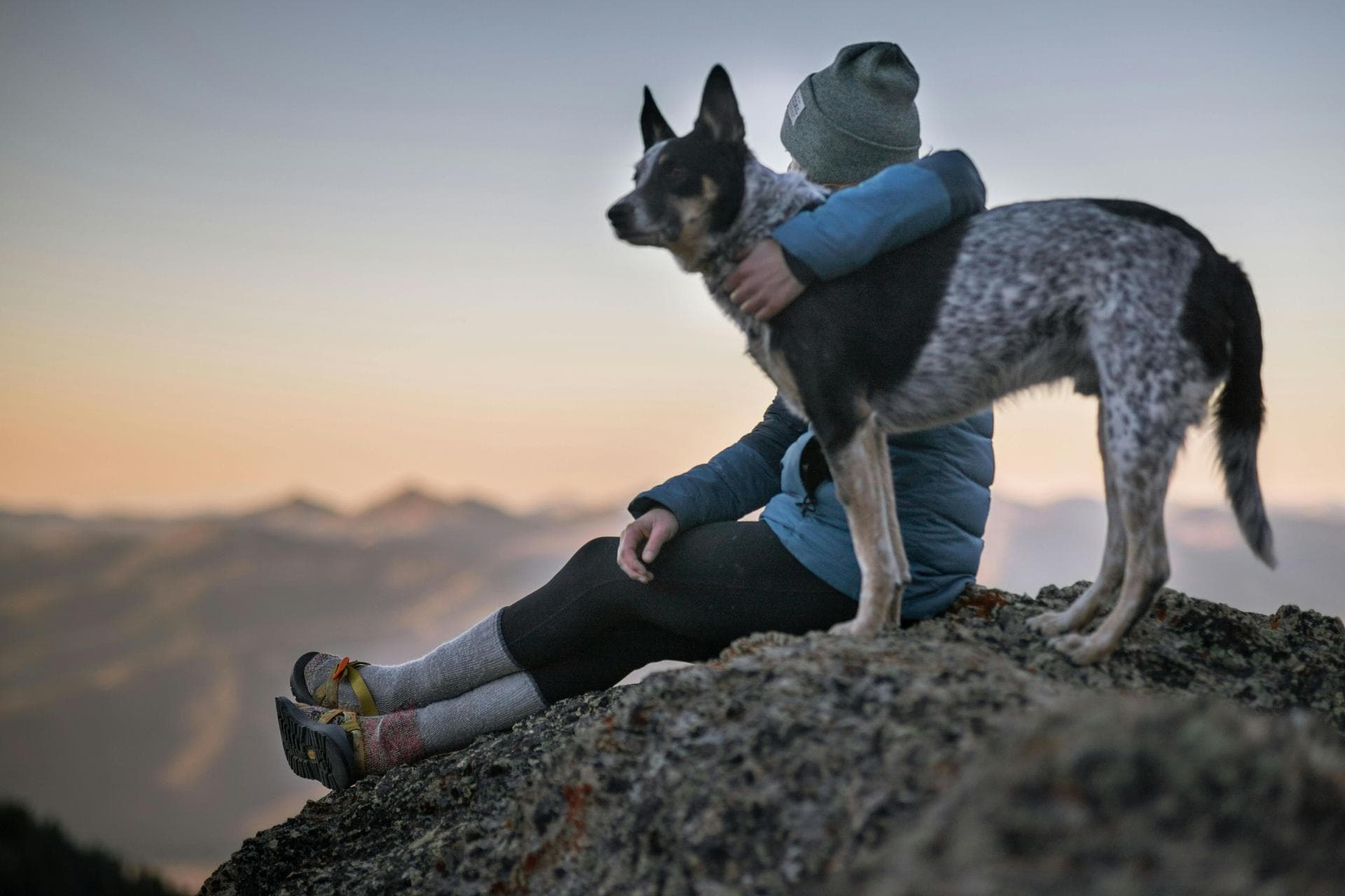 Dog & Cat Vets in Cape Girardeau